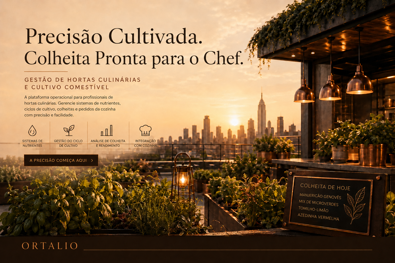Ortalio pre-launch visual